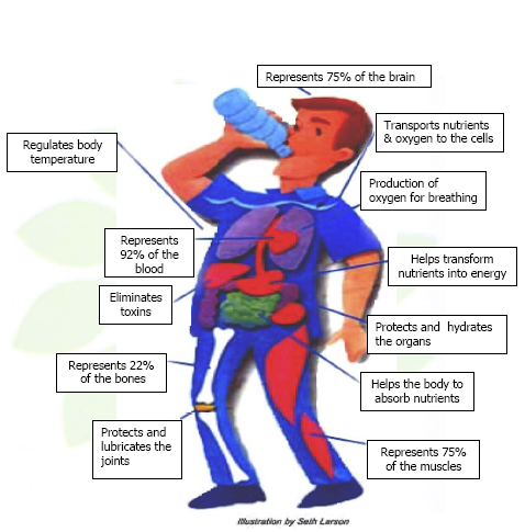 What Are The Health Benefits Of Distilled Water
